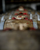 Cognac Grosperrin Vintage Petite Champagne 1973 60,3° Cognac Maison Villevert