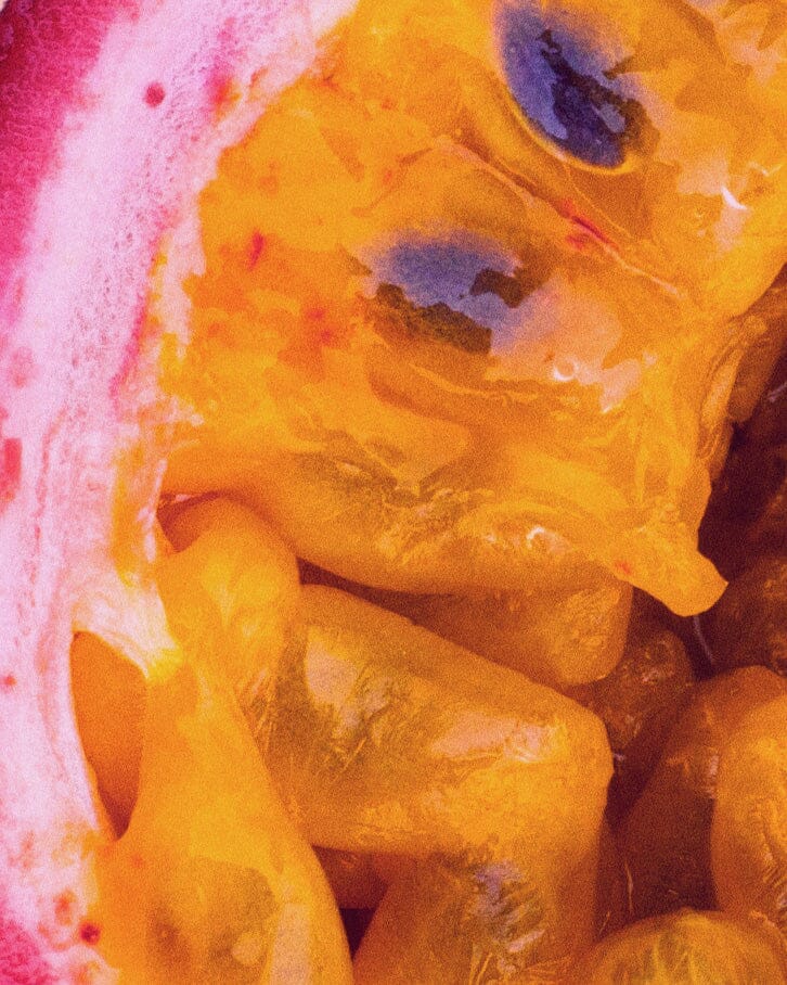 June Mangue & Fruit de la Passion Gin Maison Villevert