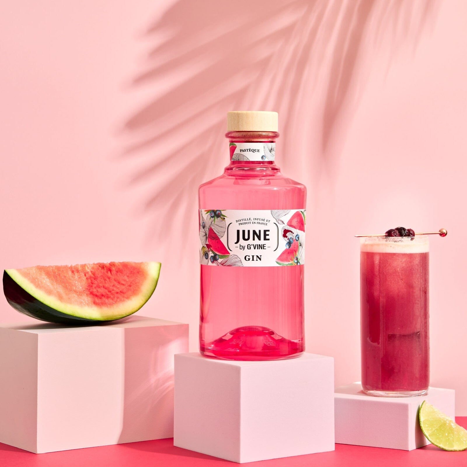 June Pastèque Gin Maison Villevert