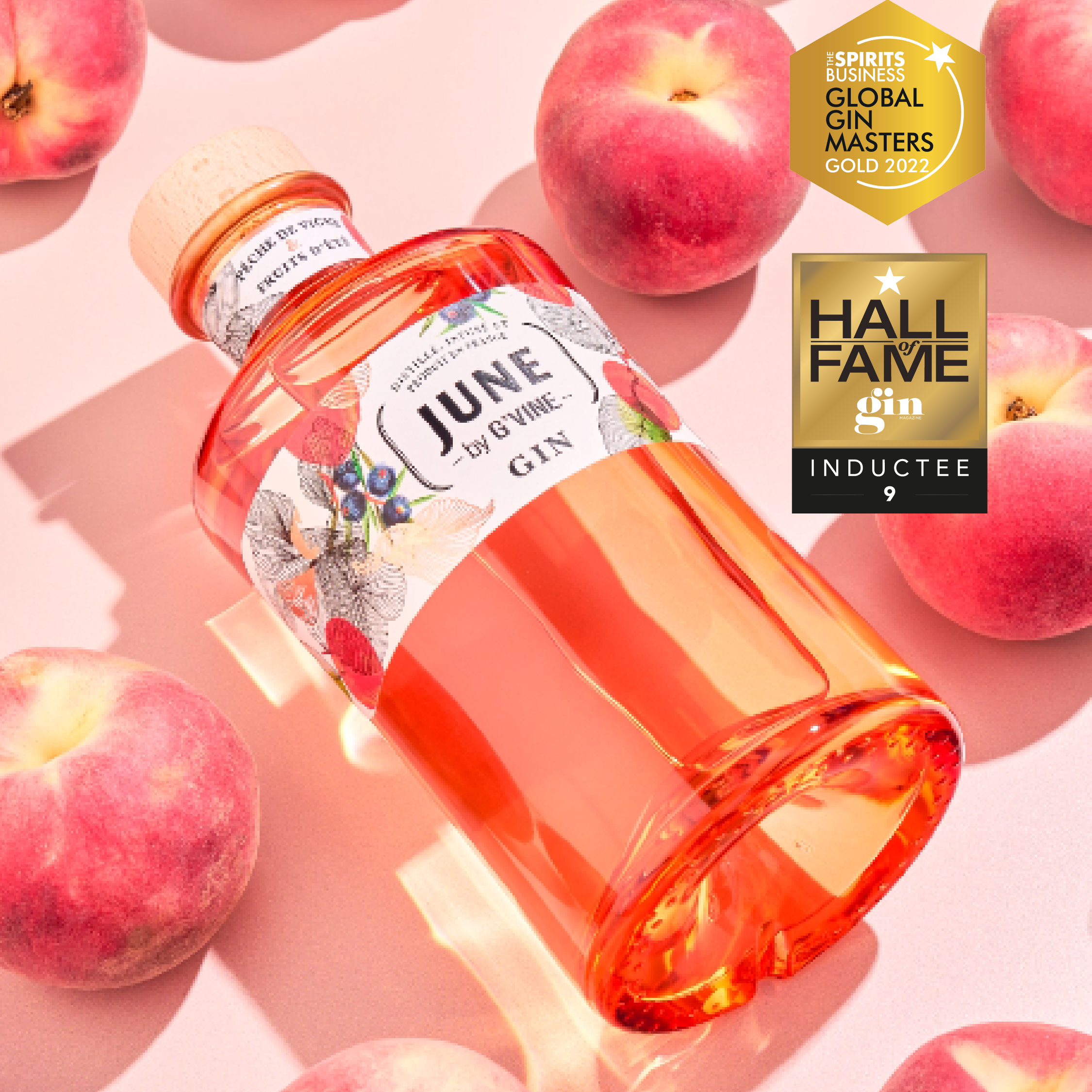 June Pêche de Vigne & Fruits d’été - 70cl Gin Maison Villevert