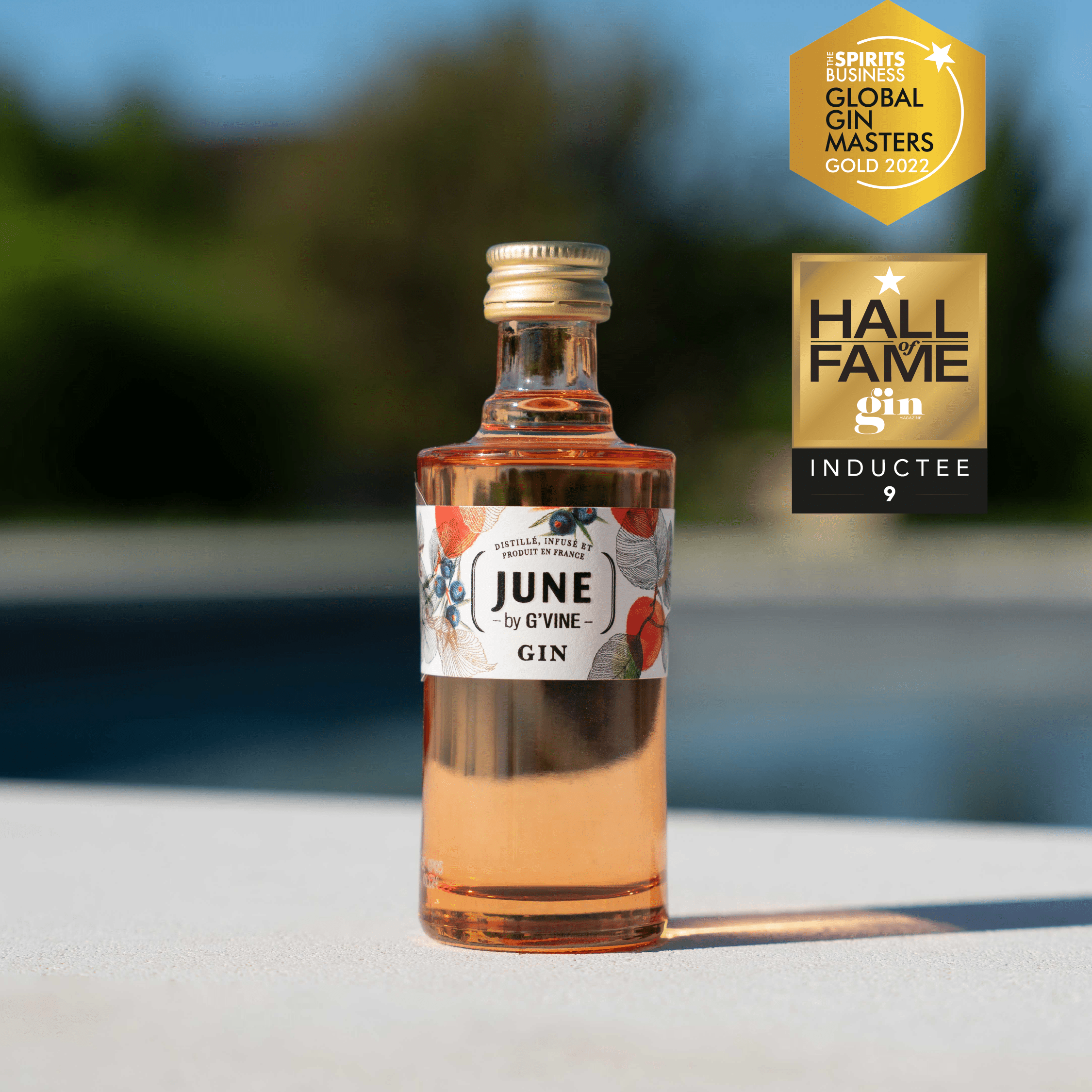 June Pêche de Vigne & Fruits d’été Mignonette - 5 cl Gin Maison Villevert