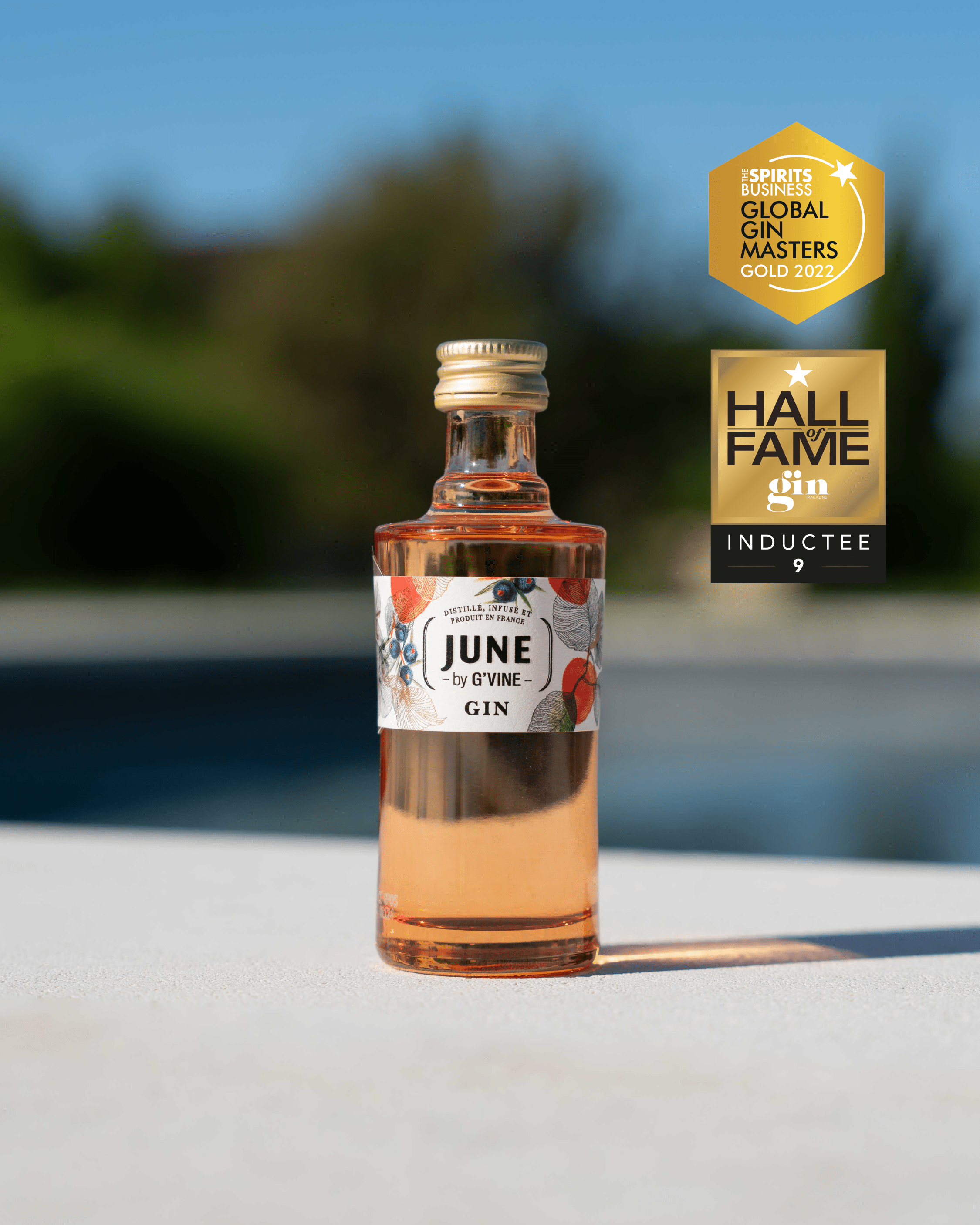 June Pêche de Vigne & Fruits d’été Mignonette - 5 cl Gin Maison Villevert