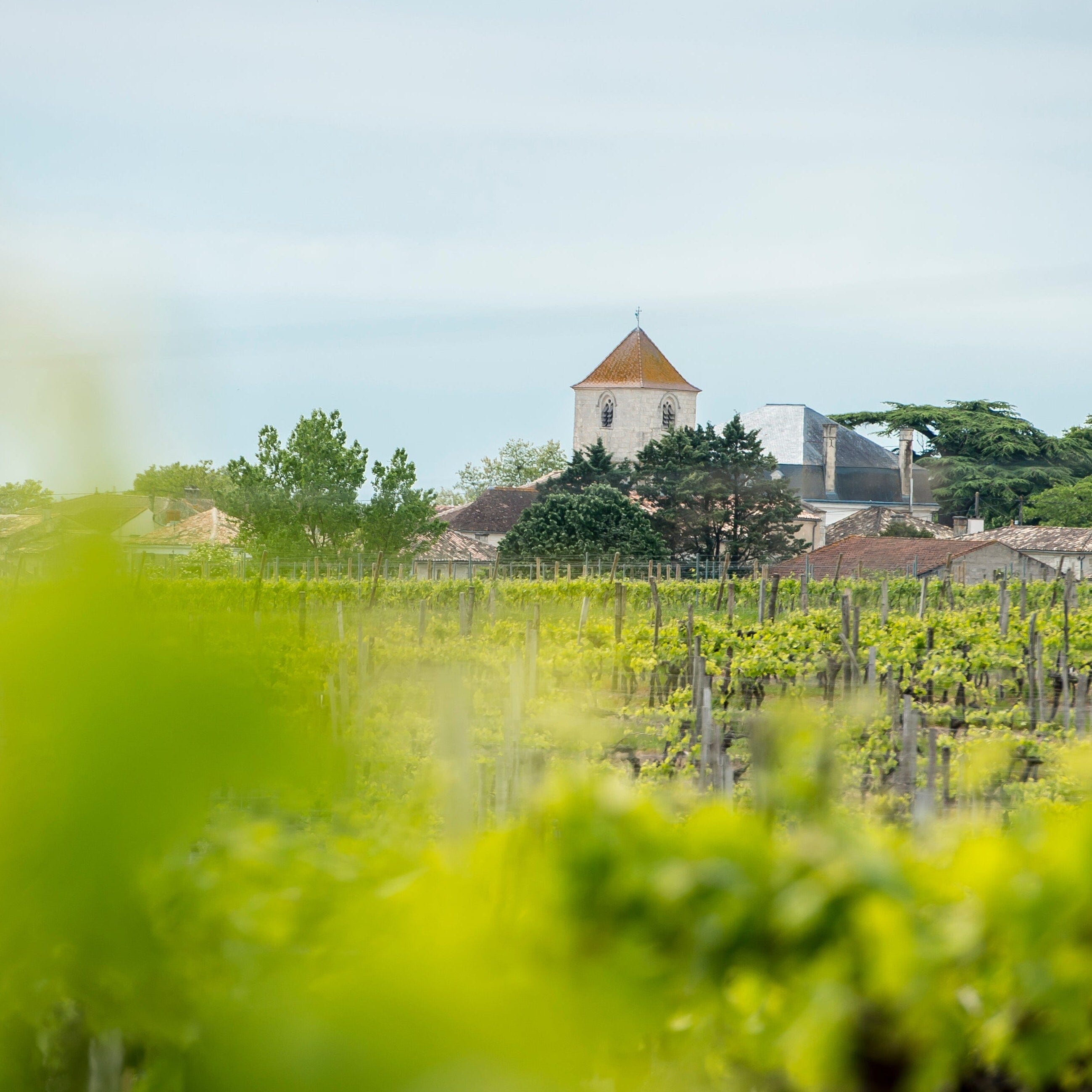 La Guilde du Cognac Fins Bois Cognac Maison Villevert