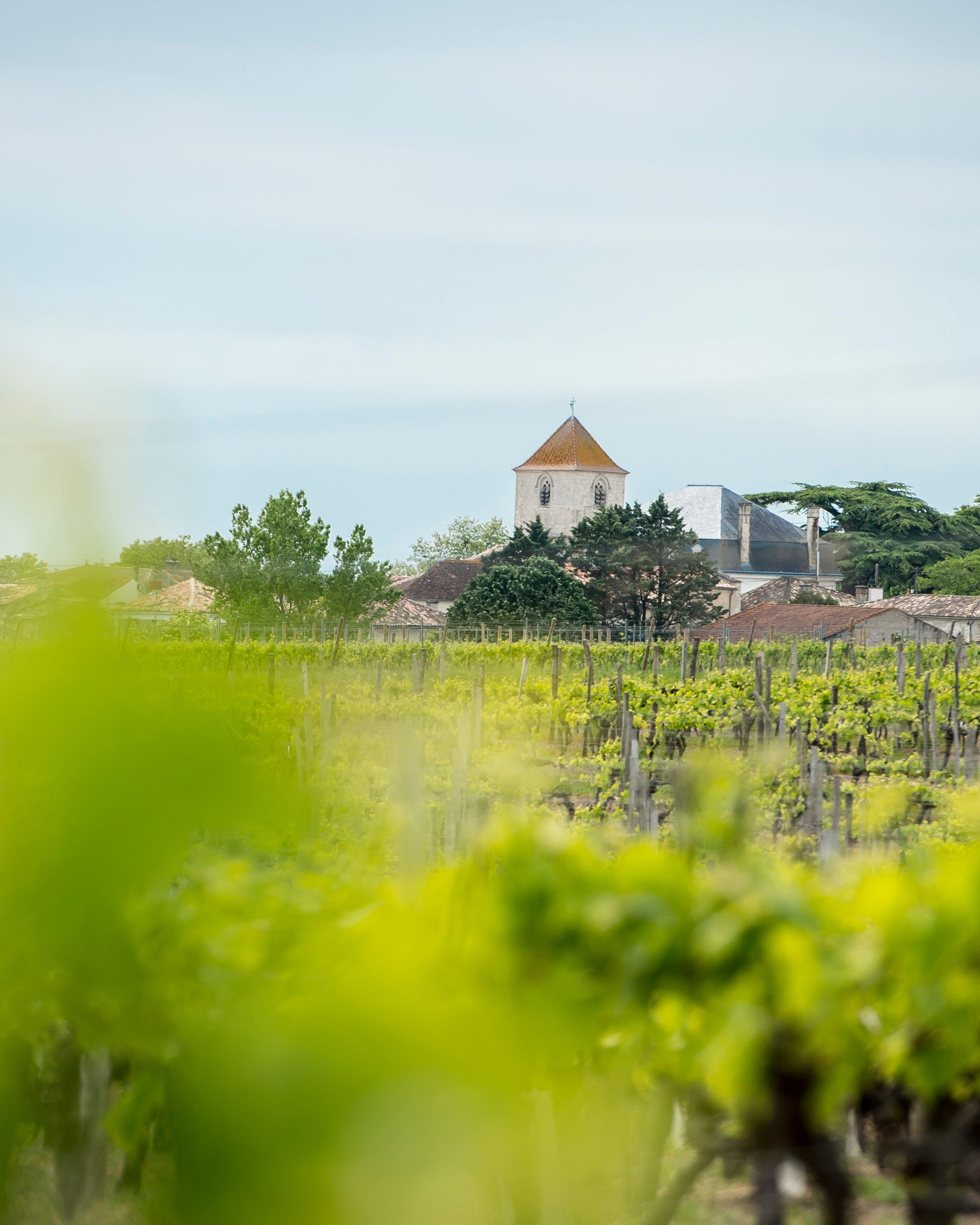 La Guilde du Cognac Fins Bois Cognac Maison Villevert