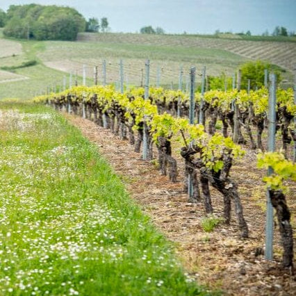La Guilde du Cognac Grande Champagne Cognac Maison Villevert