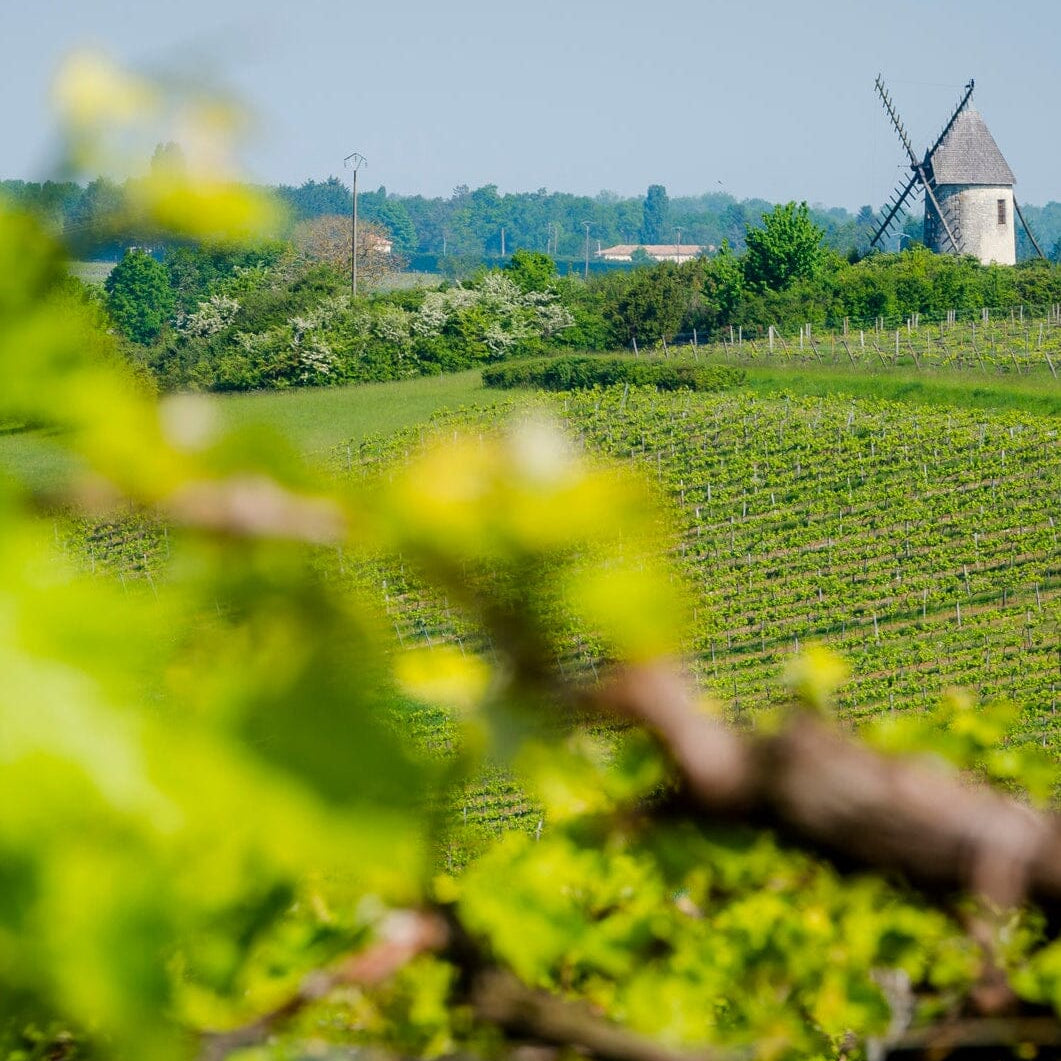 La Guilde du Cognac Petite Champagne Cognac Maison Villevert