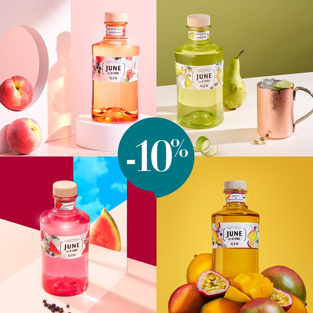 Offre June Pêche, Poire, Pastèque, Mangue Passion à -10% Gin Maison Villevert
