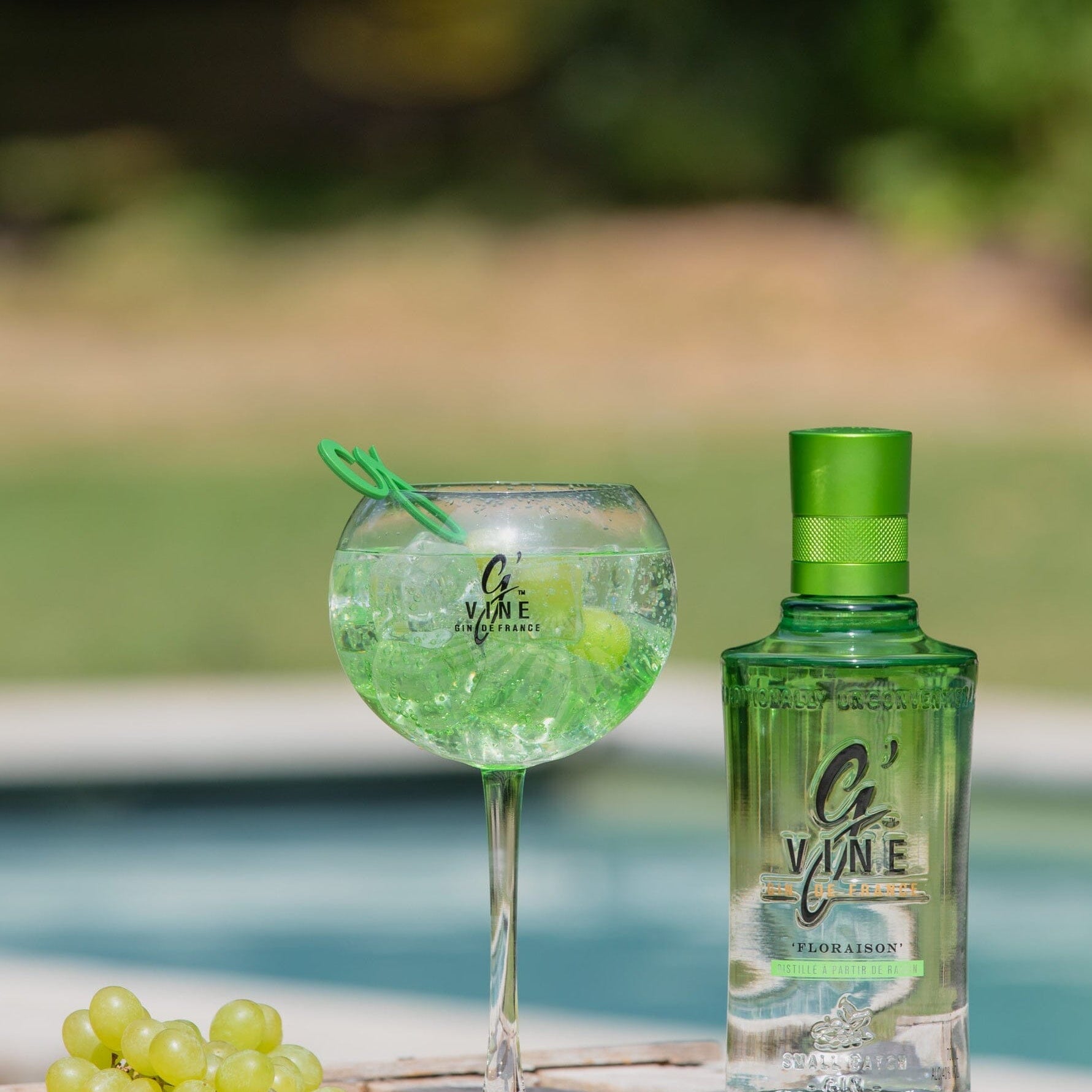 Verre en Polycarbonate G’Vine Accessoire Maison Villevert