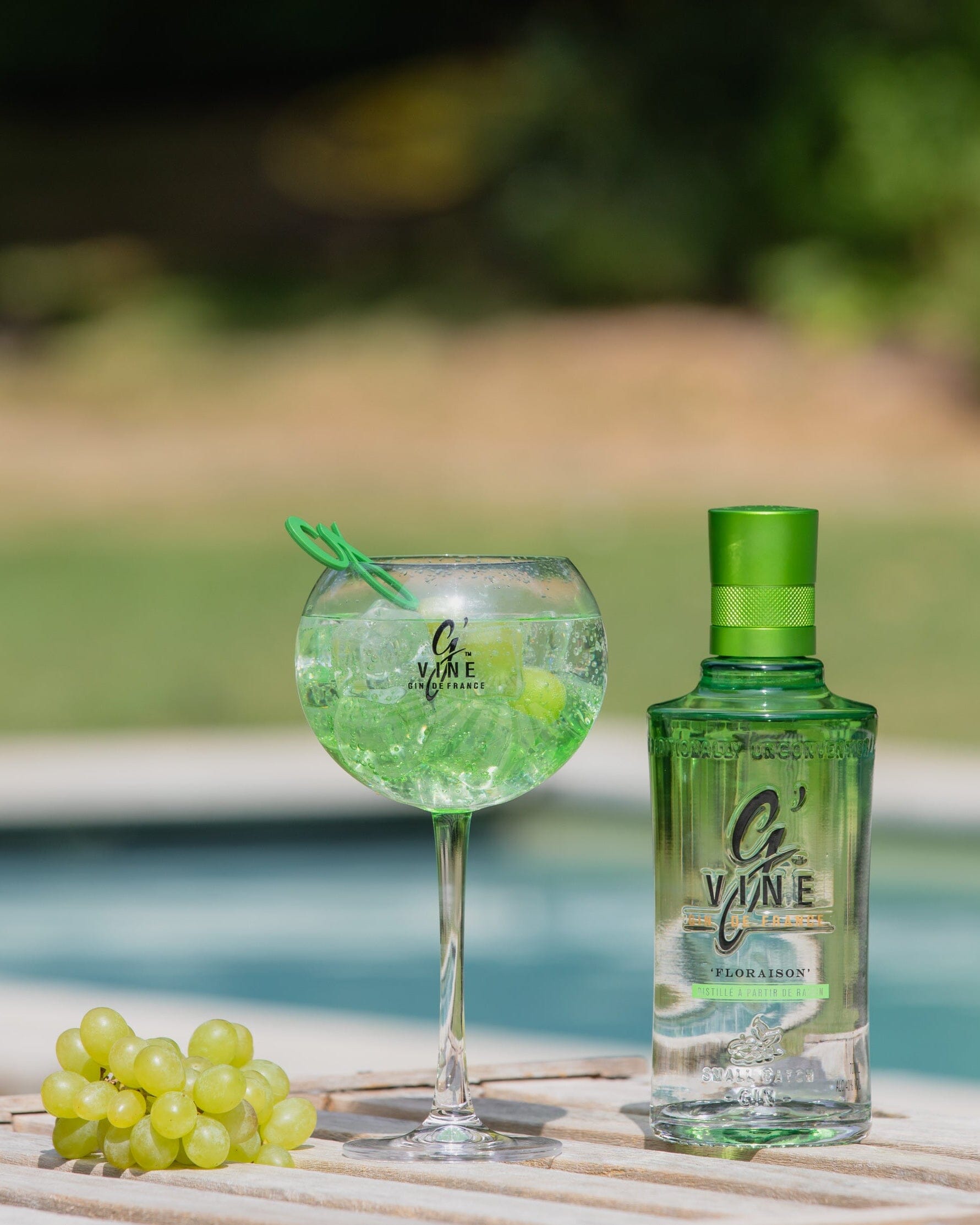 Verre en Polycarbonate G’Vine Accessoire Maison Villevert