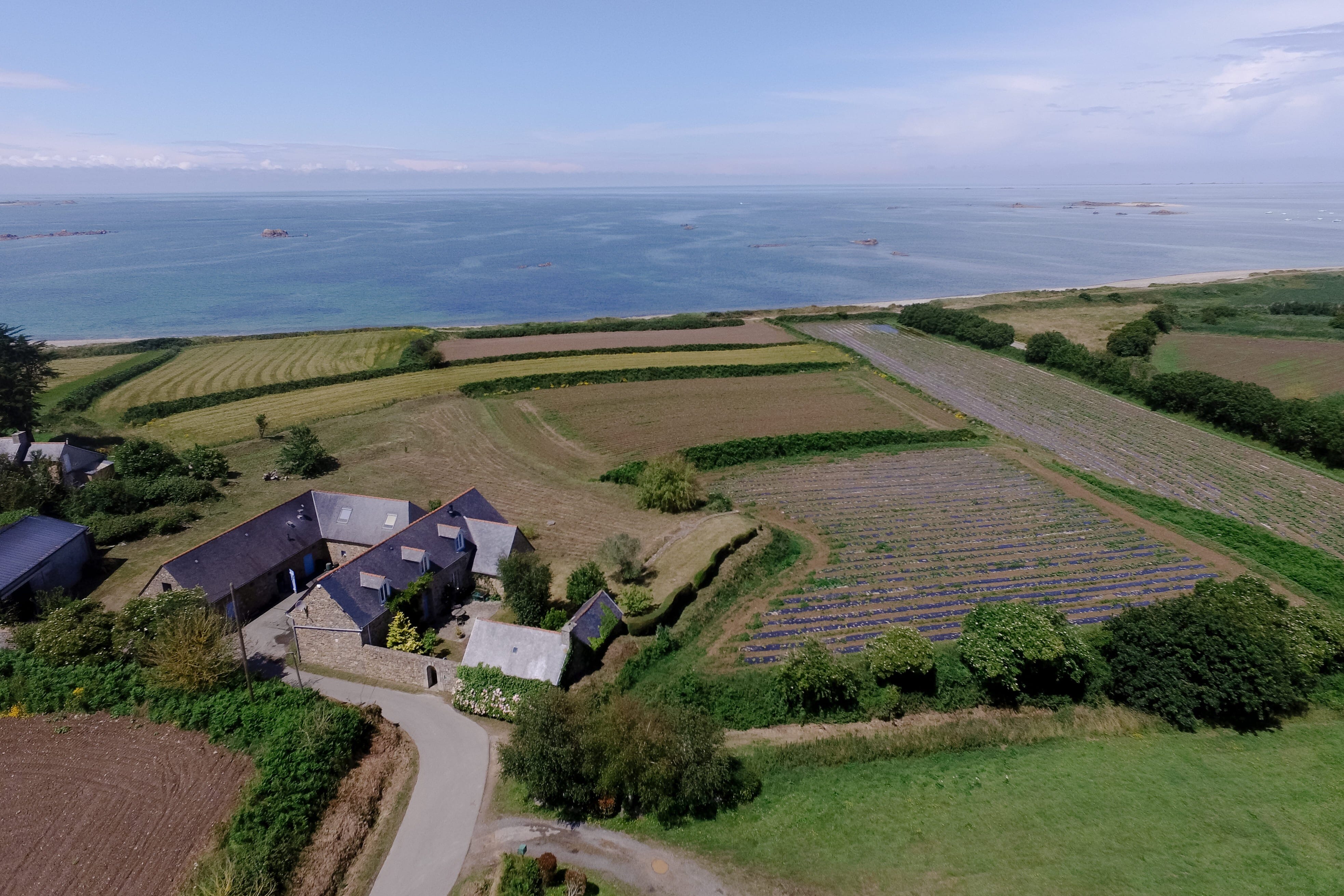 Responsable Commercial Distillerie & Ambassadeur de Marque H/F