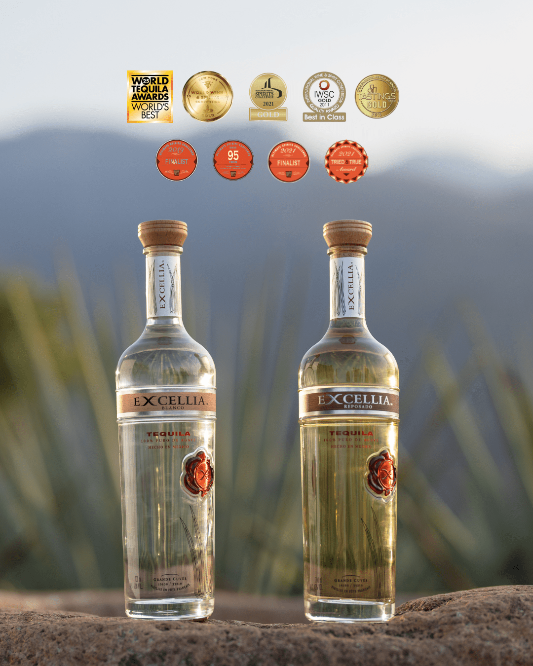 Excellia Tequila Reposado - 70cl Tequila Maison Villevert 
