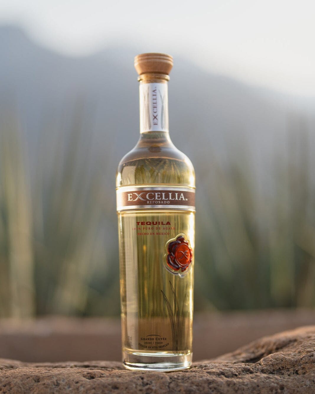 Excellia Tequila Reposado Tequila Maison Villevert 