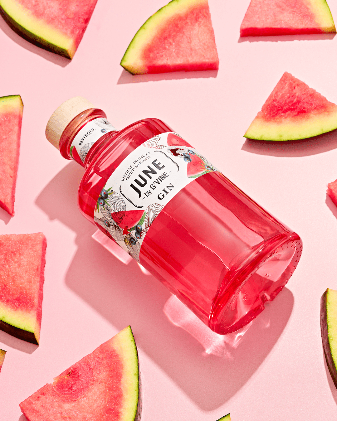 June Pastèque - 70cl Gin Maison Villevert 