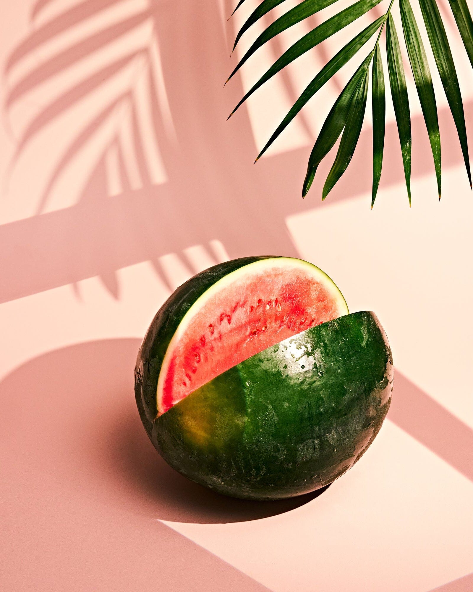 June Pastèque Gin Maison Villevert 