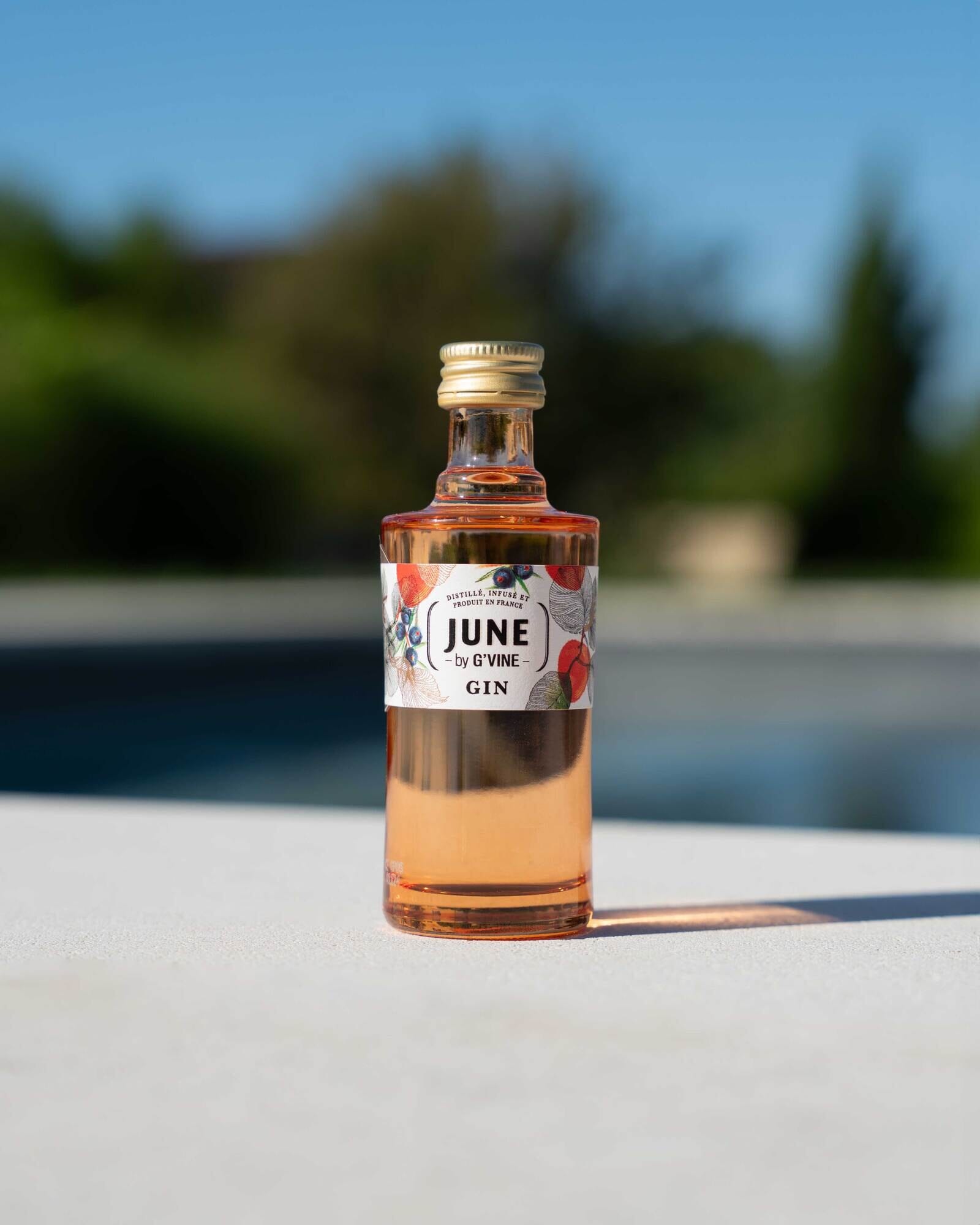 June Pêche de Vigne & Fruits d’été Mignonette - 5 cl Gin Maison Villevert 