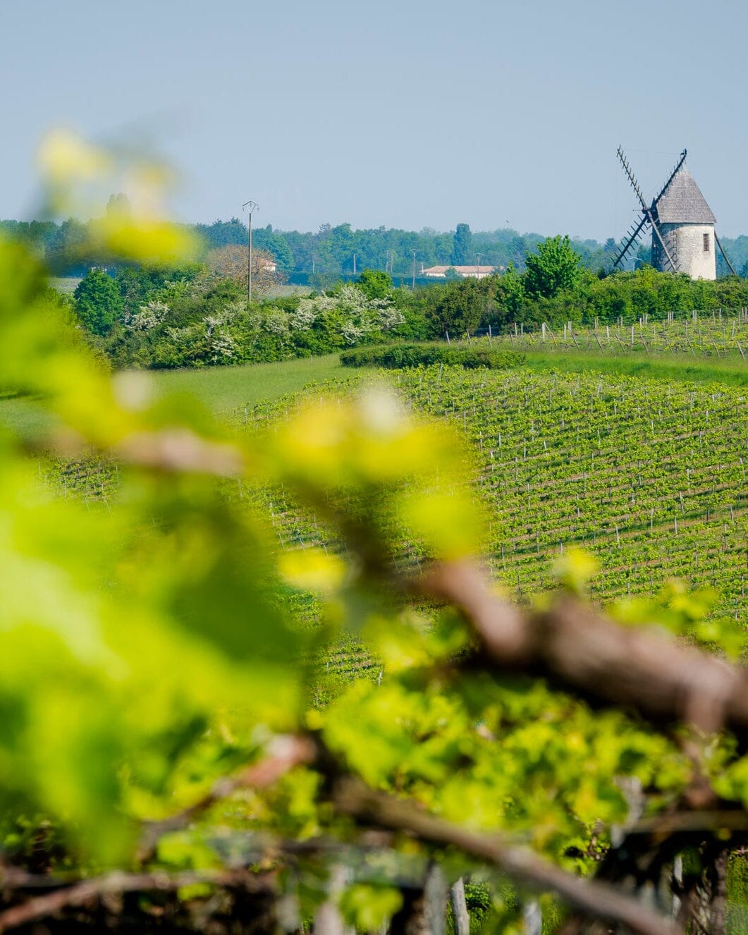 La Guilde du Cognac Petite Champagne Cognac Maison Villevert 