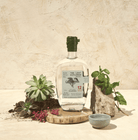 Lost Explorer Mezcal Salmiana 70cl Tequila Mezcal Maison Villevert 