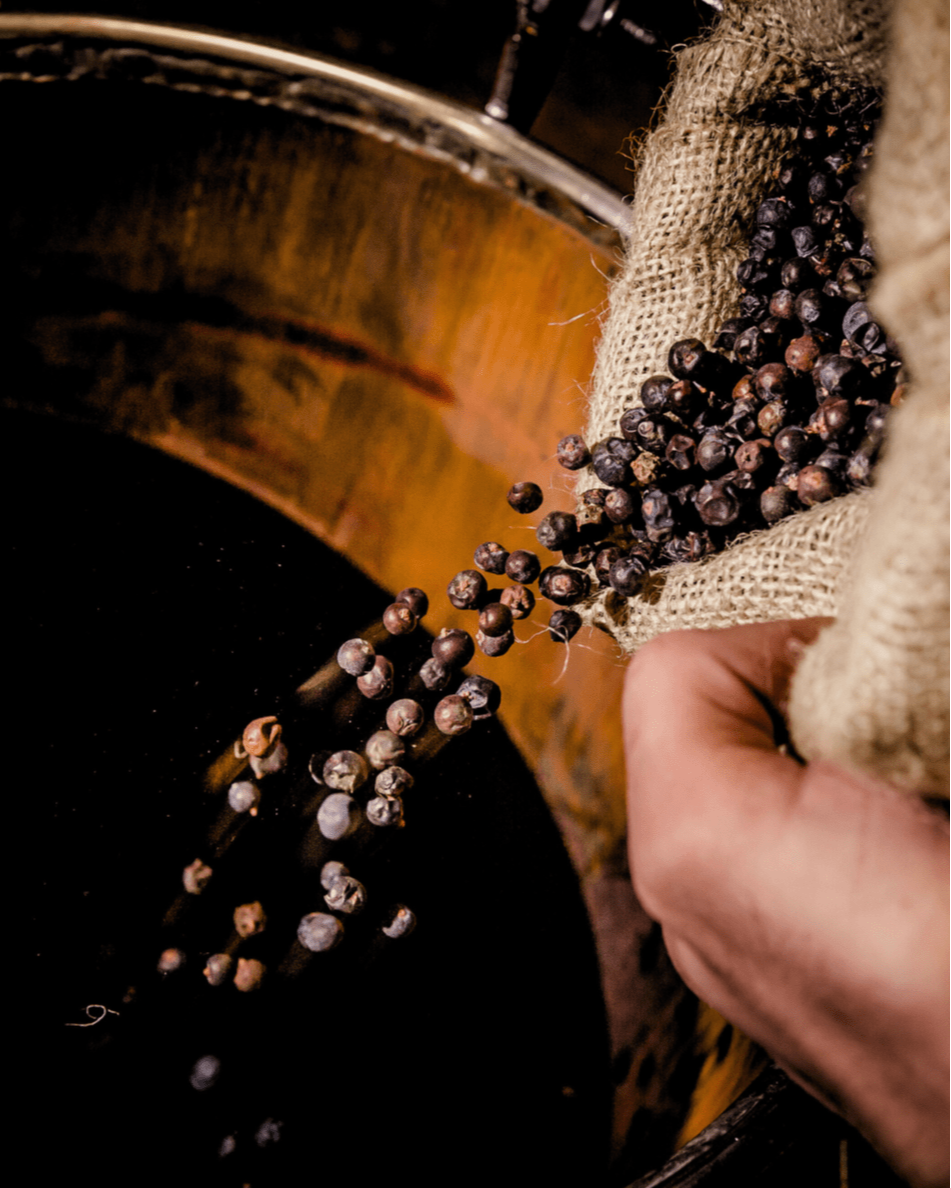 Nouaison Gin Reserve Gin Maison Villevert 