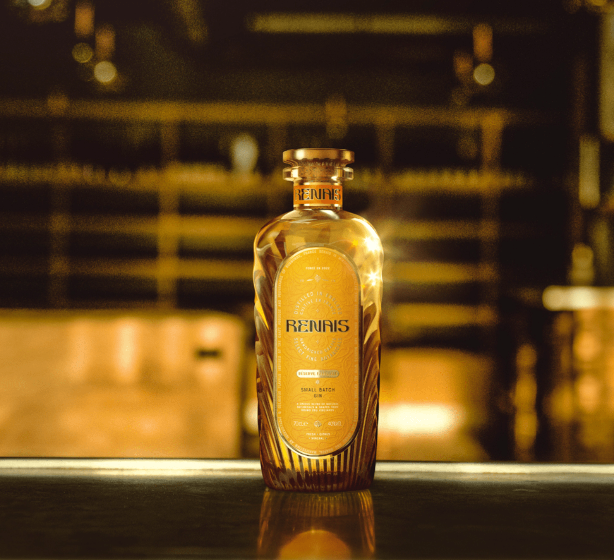 Renais Gin Gin Marque Partenaire 