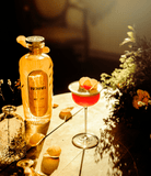 Renais Gin Gin Marque Partenaire 